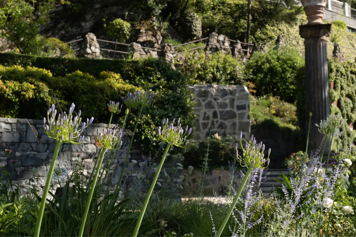 Garden pathway with lavender plantings, stone walls, and trees framing villa grounds