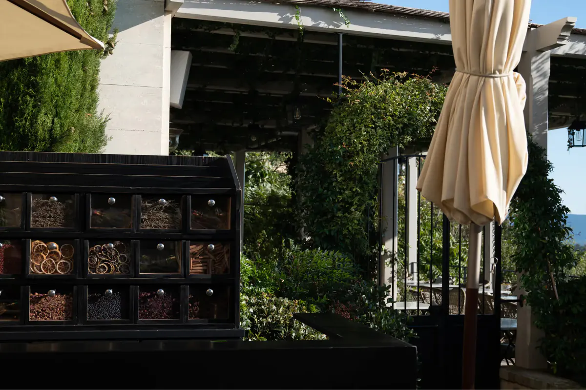 Black modern bar with climbing vines and draped curtains